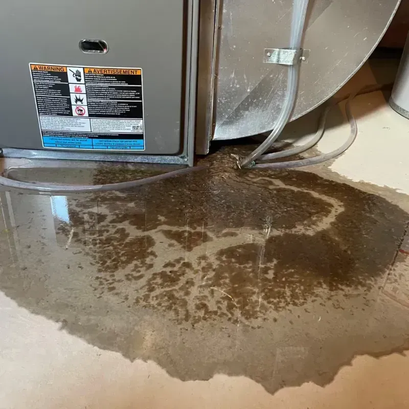 Appliance Leak Cleanup in Holtville, AL